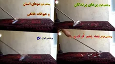 JarooMoo * جارومو * جاروی مو جمع کن - پرزگیر