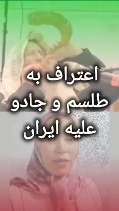 amir13611455 77395966