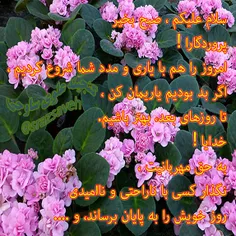 #سلام_علیکم ، #صبح_بخیر 