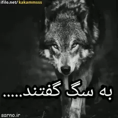 هزاااار بار دلم سوخت درغمی مبهم....