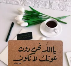 🍃🕯 ˓٭˛ ،🌸