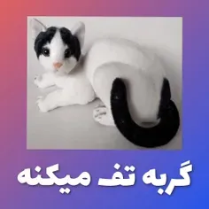 بنظرتون گربه تف میکنه