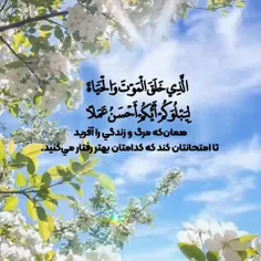 سلام بزرگوار🌸