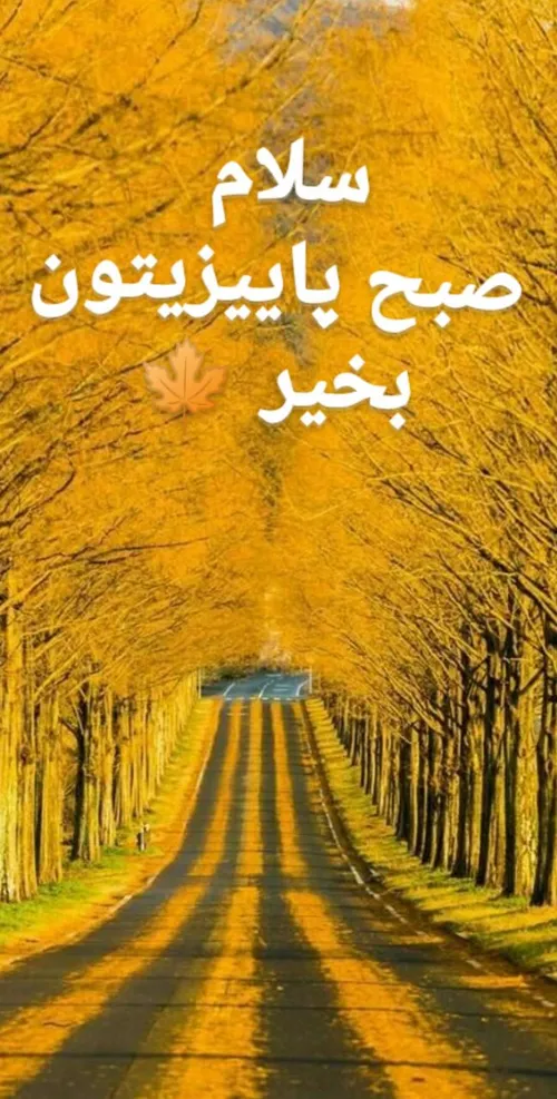 🍁لا به لای رنگهای زیبـا