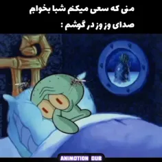 انگار شبا در گوشم کنسرت برگزار میکنن 😂