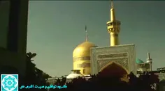 حصن امان در مدح حضرت امام رضا ع💫کاری از گروه تواشیح و همخ