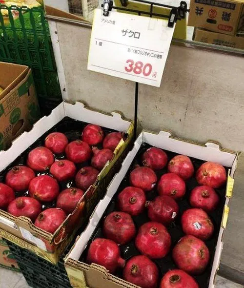 قیمت هر دانه انار در ژاپن ۳۸۰ ین حدود ۵۰ هزار تومان است و