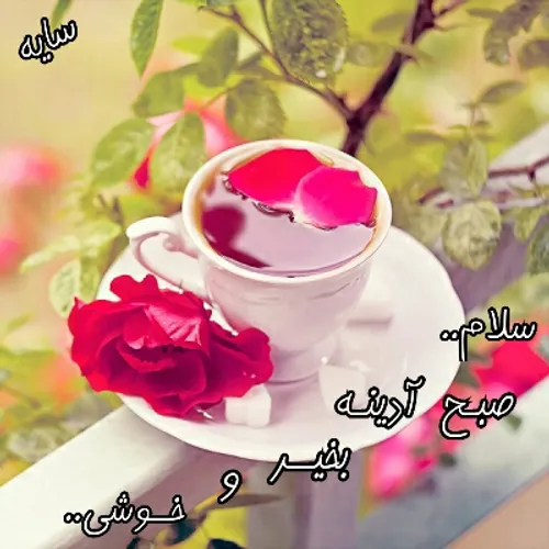 از مشرق نور جام جم آوردم ..