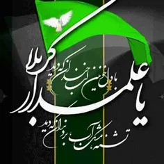 @asheganealamdarekarbala