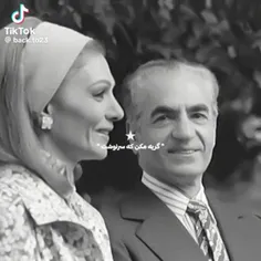 اه... افسوس که شاه را از دست دادیم...