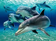 عاشقانه ها mostafammm 1284870