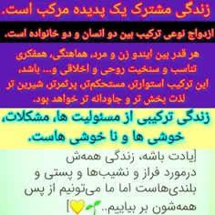 زندگی_ترکیبی