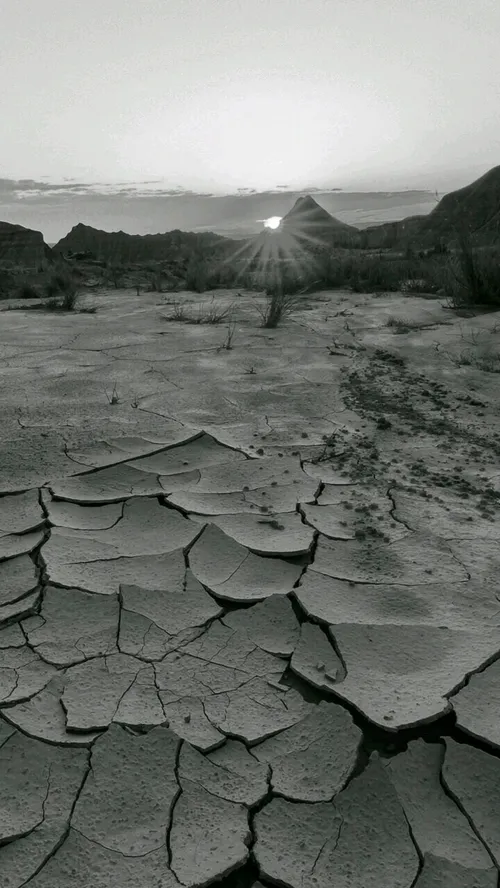 طبیعت kolahqermezi 19901959 - عکس ویسگون