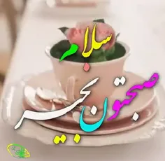 🕊 🌹 سلام صبح زیبا تون بخیر