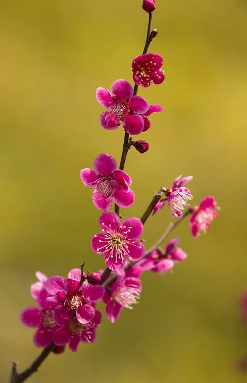 و خدایی که در این نزدیکی است