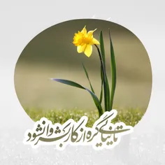 سیاست mohsen-manteghi 37115798