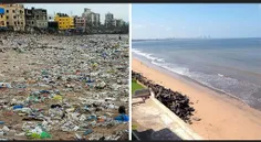 ۵۰۰ داوطلب به مدت چندین ماه در این ساحل مشغول تمیز کردن ب