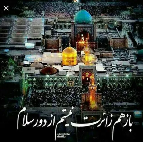 یا امام رضا ع🌹 🍃