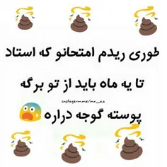 اوووق