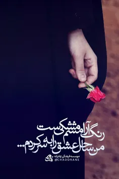 کم نیستند خواهرانی که 