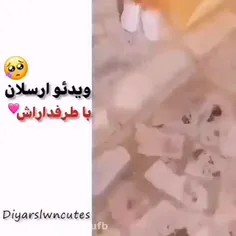 پسرم و طرفداراش