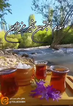 🌸شنبه تـون 