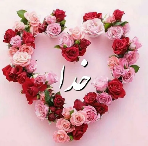 🌸 💕 بسم الله الرحمن الرحیم💕 🌸