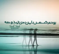 اینجا همه دلتنگند
