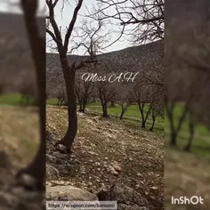 ☘️سیزده بدر☘️