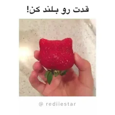 قدت رو بلند کن!