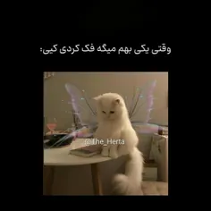 یه گربه مهربون:))