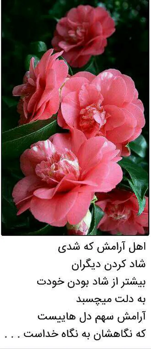 عاشقانه ها hosseinnaseri1300 18754526 - عکس ویسگون