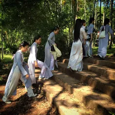 Girls wearing Ao Dai, traditional long dress, to attend V