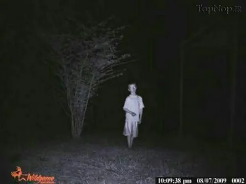 دوربین های مستقر در جنگل برای راز بقا که تصاویری از جنیان