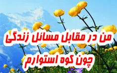 عکس نوشته akbarmf 18376269