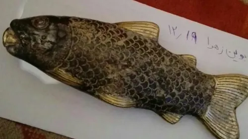 ماهی از جنس نقره طلاشور و طلا