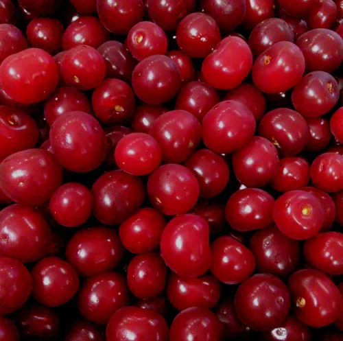 طُ مَرٱ جآن و جَهآنی🤤🍒