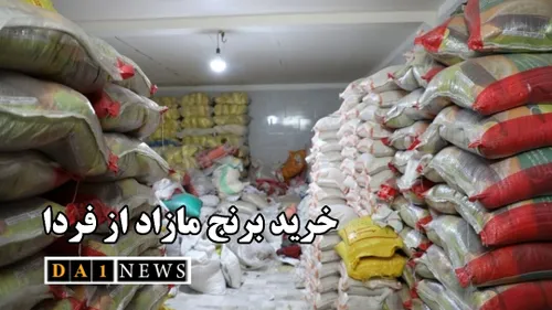 با صدور بیانیه ای اعلام شد: خرید برنج مازاد کشاورزان از ف