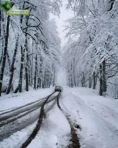 جنگل دالخانی رامسر #استان_مازندران🇮🇷😍😎