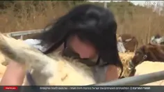 الاغ دزدی هم به کارنامه ارتش اسرائیل اضافه شد