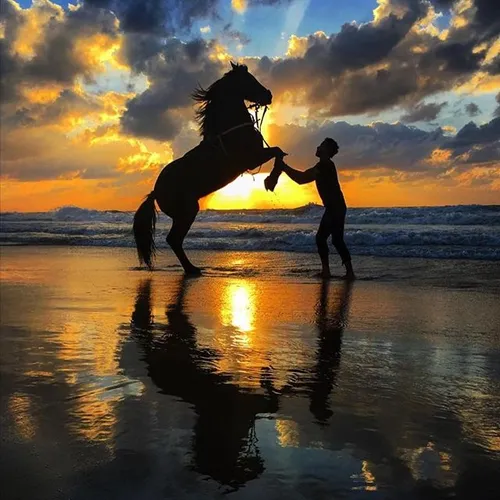 Abdullah plays with his horse on Gaza beach at sunset. He