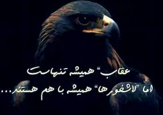 گوناگون ghazal7557 8215205