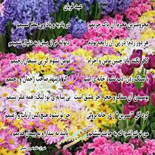 عید قربان