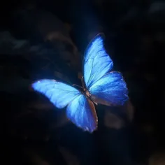 به رونای من عآفه :) یکی رونای منو بدههینسمسموسوسسو