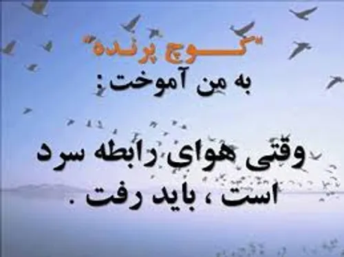 ولی نه کوچ پرندگان به من اموخت