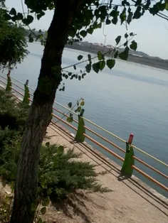 دریاچه شورابیل دراردبیل
