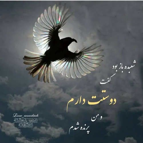 عکس نوشته