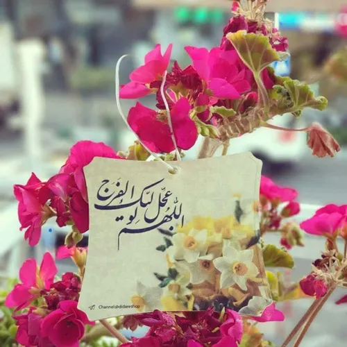  h_mousavi 62647115 - عکس ویسگون