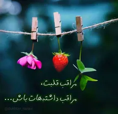 ✅ راه غلبه بر نفس، محاسبه است.