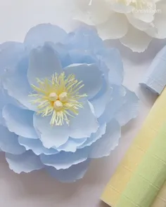 ساخت گل بزرگ با کاغذی کشی برای تزیین خانه و یا دکور جشنها